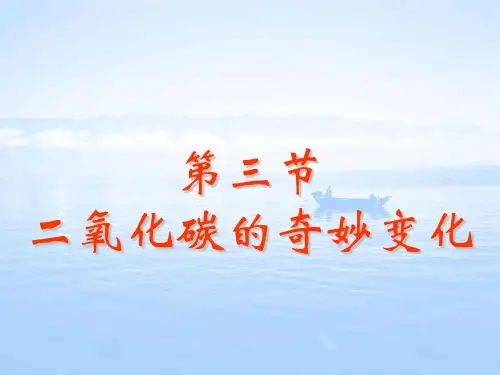 奇妙的二氧化碳PPT精品课件