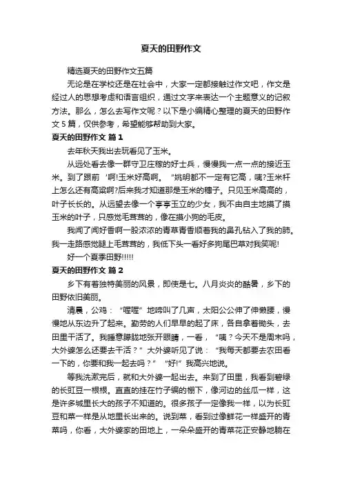 精选夏天的田野作文五篇