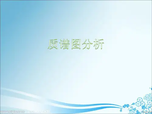 质谱图分析2