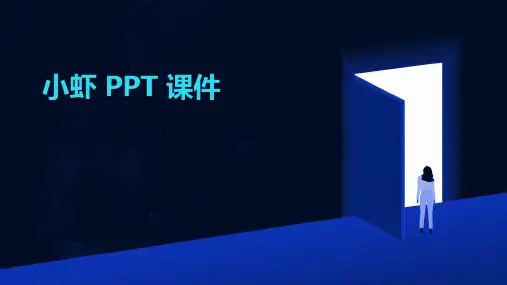 小虾 ppt课件