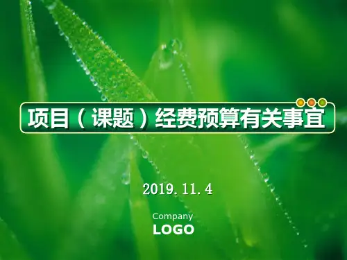 项目课题经费预算有关事宜-文档资料