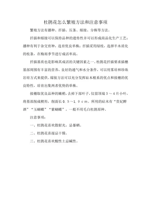杜鹃花怎么繁殖方法和注意事项