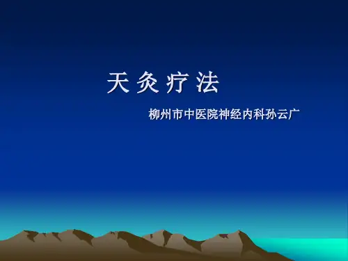 天灸疗法 PPT课件