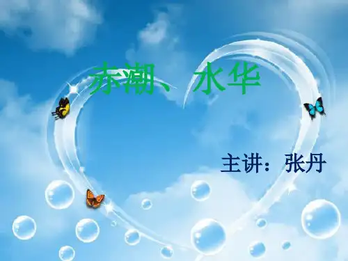 赤潮、水华