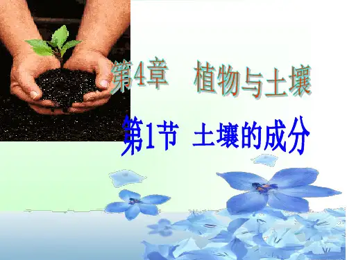浙教版八年级科学下册第四章植物与土壤PPT教学课件