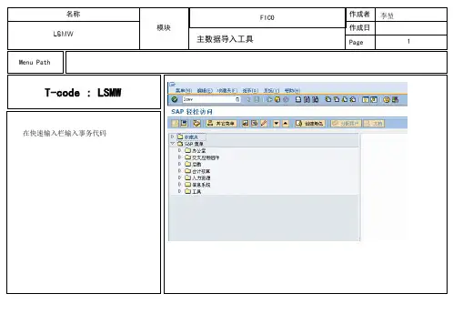 SAP LSMW(录屏)详细教程