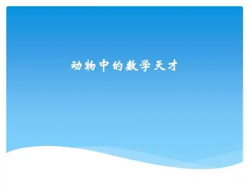 动物中的数学天才