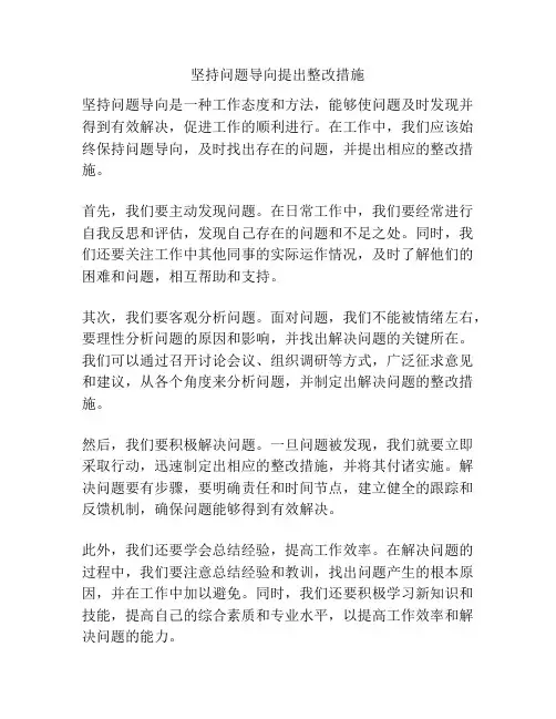 坚持问题导向提出整改措施