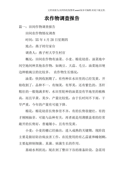 农作物调查报告