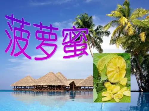 菠萝蜜