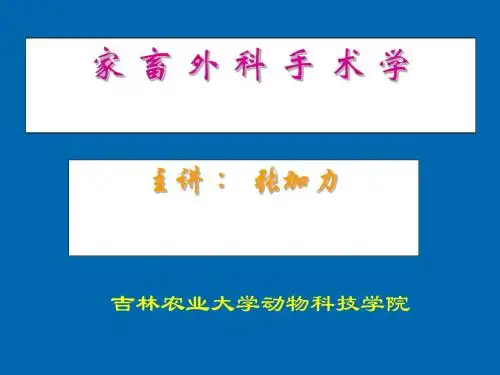 09 腹部手术