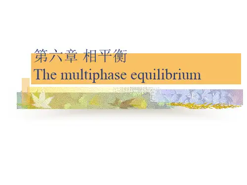 物理化学 第六章 相平衡