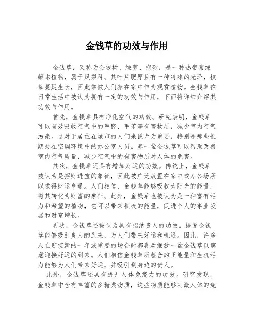金钱草的功效与作用