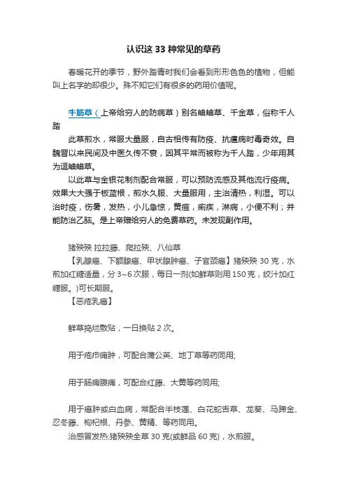 认识这33种常见的草药