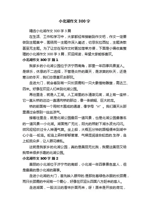 小北湖作文300字