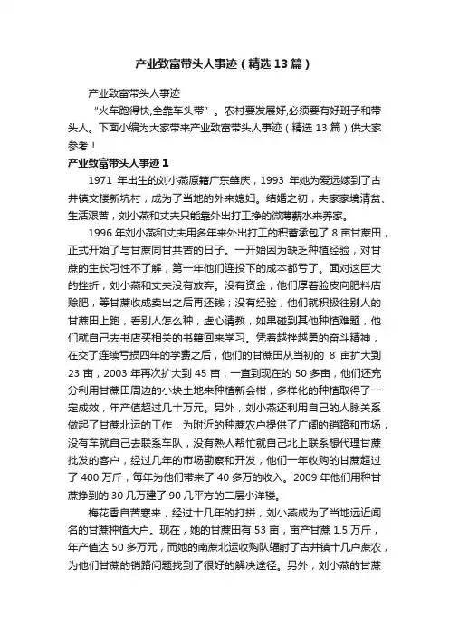 产业致富带头人事迹（精选13篇）
