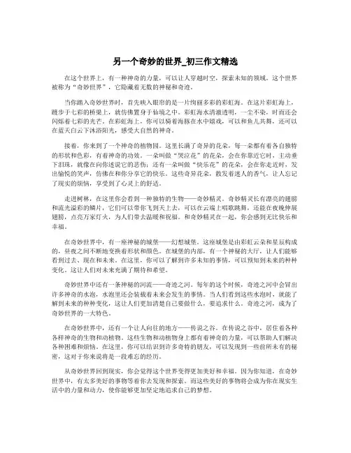 另一个奇妙的世界_初三作文精选
