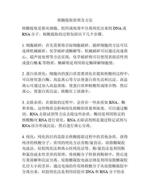 核酸提取原理及方法