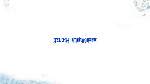 第10讲 细胞的增殖-考点三 实验_观察根尖分生组织细胞的有丝分裂