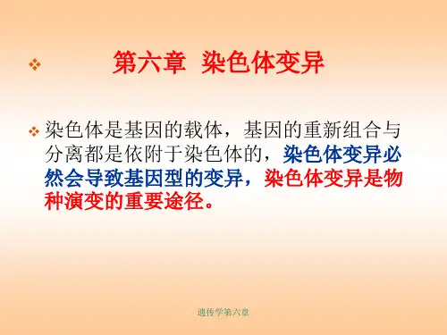 遗传学第六章 染色体变异课件