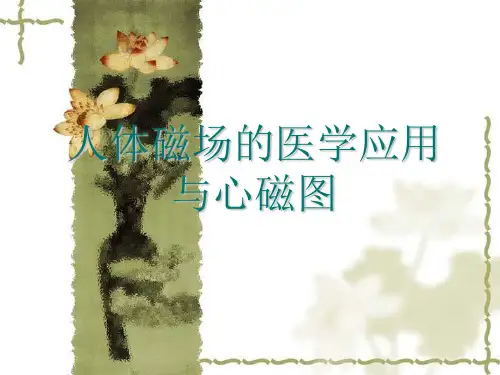 人体磁场的医学应用与心磁图