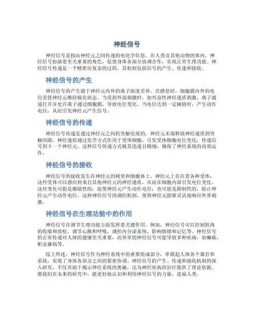 神经信号资料