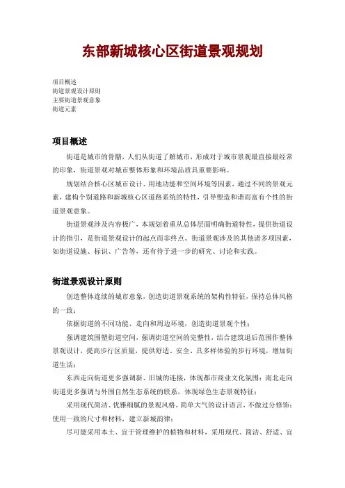 东部新城核心区街道景观规划