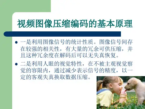视频图像压缩编码基本原理24页PPT