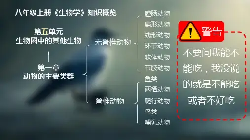5.1.1腔肠动物和扁形动物课件(共23张PPT)人教版八年级上册