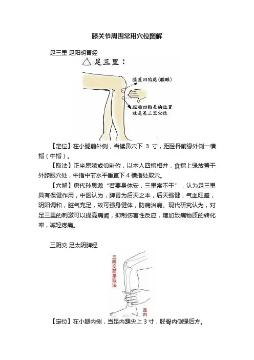 膝关节周围常用穴位图解