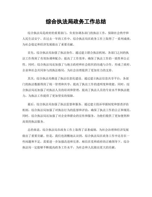 综合执法局政务工作总结