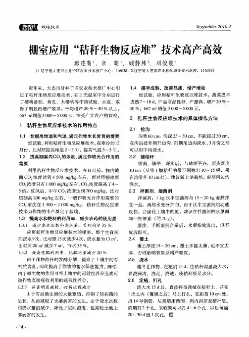 棚室应用“秸秆生物反应堆”技术高产高效