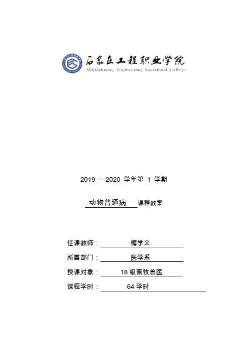 动物普通病学教案-内科-呼吸系统病-2学时