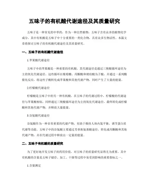 五味子的有机酸代谢途径及其质量研究
