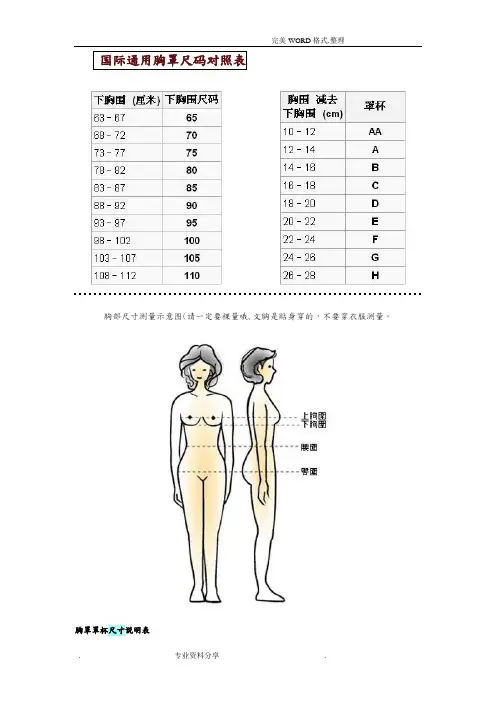 国际通用胸罩尺码对照表和他