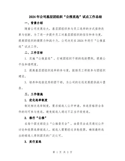 2024年公司基层团组织“公推直选”试点工作总结