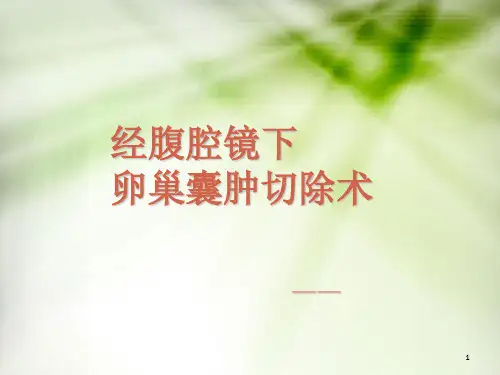 手术室腹腔镜下卵巢囊肿切除护理查房ppt课件