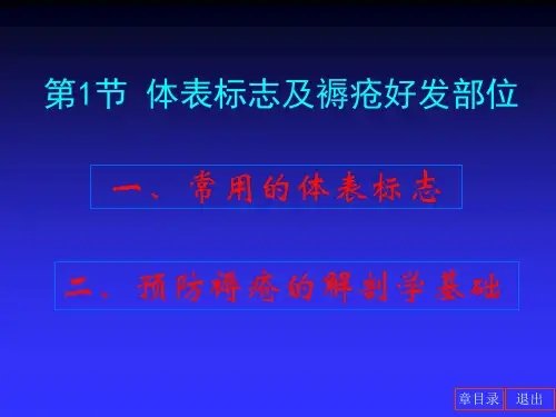 第16章护理应用解剖学