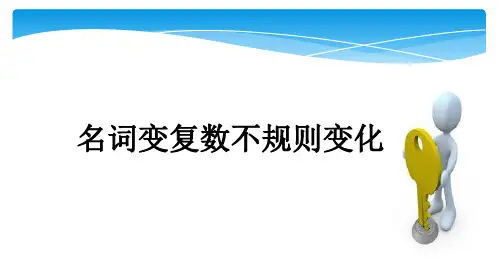 可数名词变复数不规则变化精华