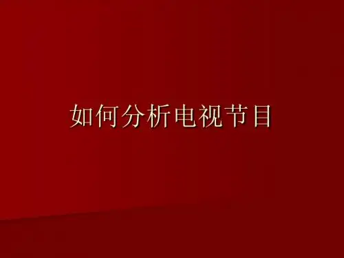 电视节目评析