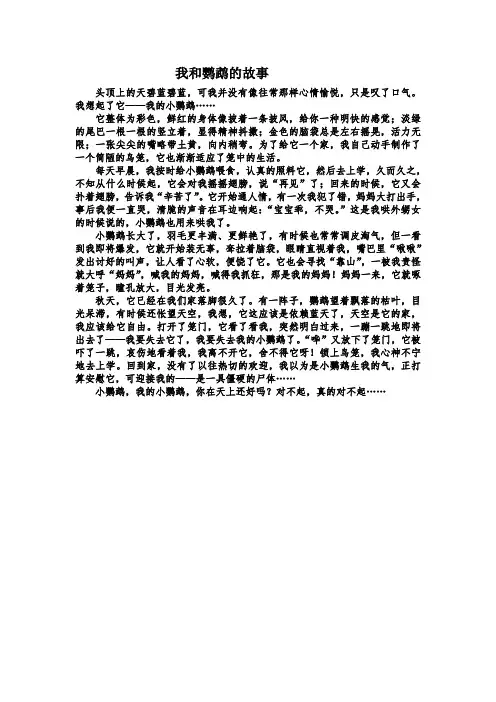 我和鹦鹉的故事