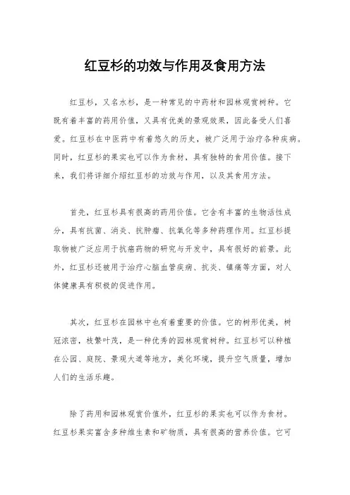 红豆杉的功效与作用及食用方法