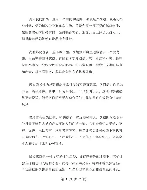 奶奶的鹦鹉作文范文