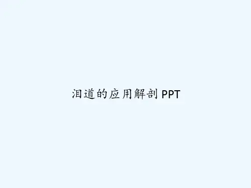 泪道的应用解剖 PPT