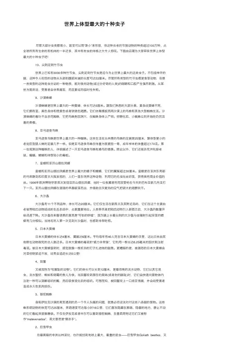 世界上体型最大的十种虫子