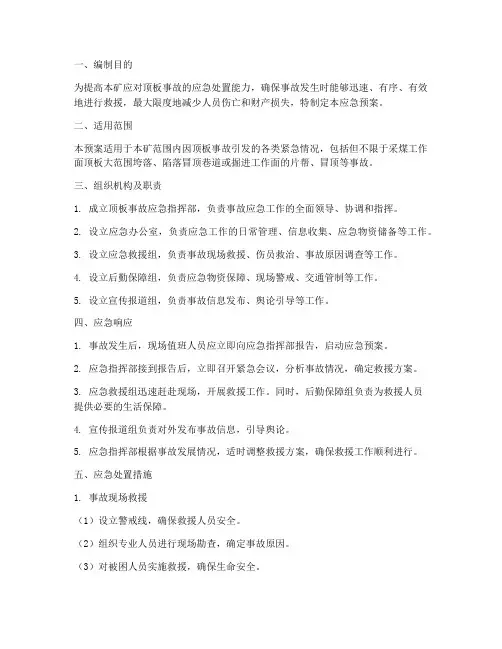顶板专项事故应急预案