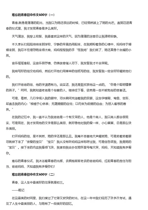 难忘的青春初中作文600字