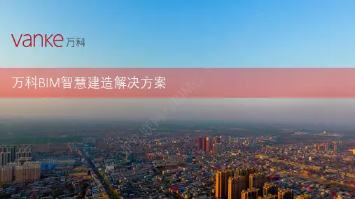 D433BIM资料-13万科BIM智慧建造解决方案