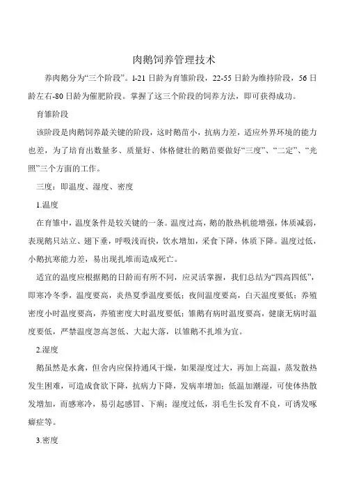 肉鹅饲养管理技术