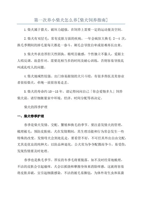 第一次养小柴犬怎么养[柴犬饲养指南]
